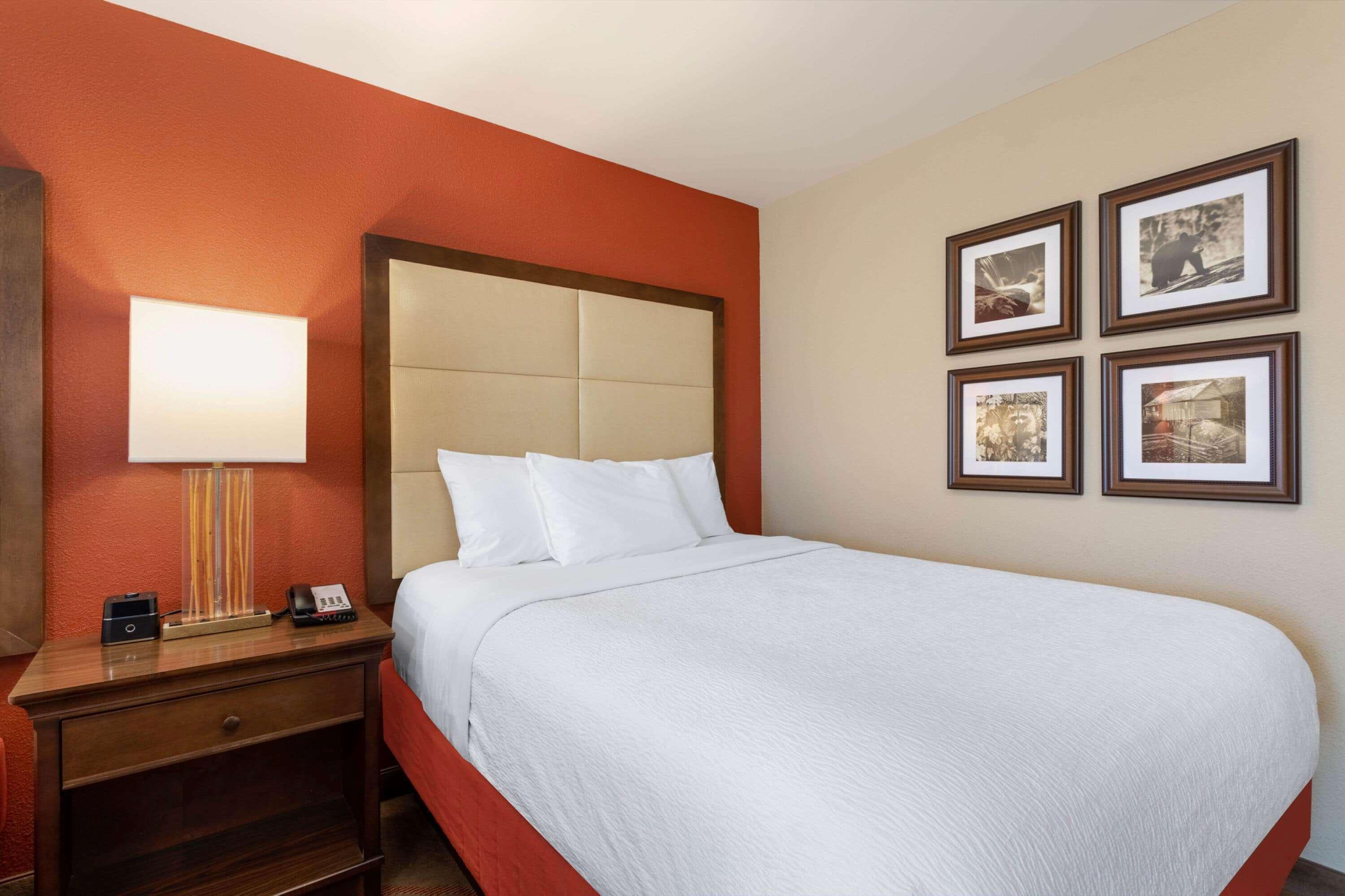 La Quinta By Wyndham Pigeon Forge Hotel Buitenkant foto